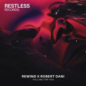 Falling For You (Radio Edit)