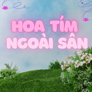 Hoa Tím Ngoài Sân