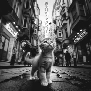 夜明けのイスタンブール