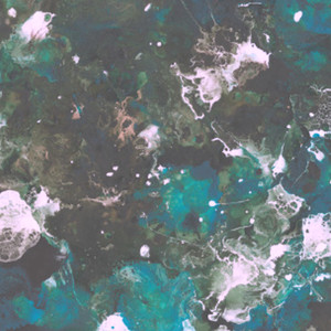 Nkl _Dar las Gracias