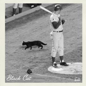 Black Cat