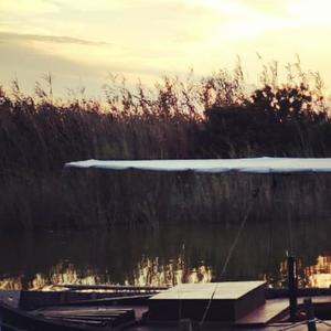 Sunrise in L'Albufera (feat. Budapest Art Orchestra)