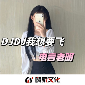DJDJ我想飞 (Remix)