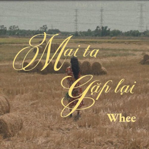 Mai Ta Gặp Lại