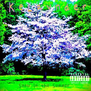 Snow in the Summer (Explicit)