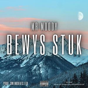 Bewys Stuk (feat. Mr Moody) (Explicit)