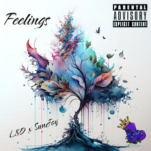 Feelings (feat. Sunjoy) (Explicit)