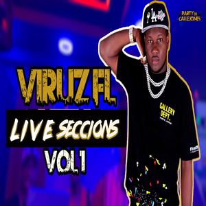 Party de Callejones Vol,1 (feat. Viruz Fl) (Mollylandia Live|Live)
