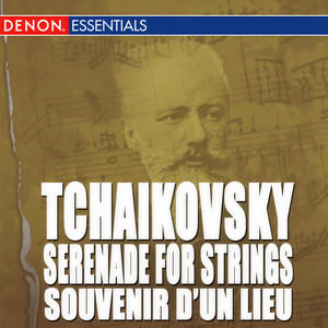 Souvenir d'un lieu cher No. 1 in D Minor, Op. 42 - Meditation - Andante molto cantabile