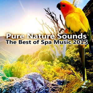 Pure Nature Sounds – The Best of Spa Music 2015, Meditation, Yoga, Relaxing Sounds to Sleep, White N