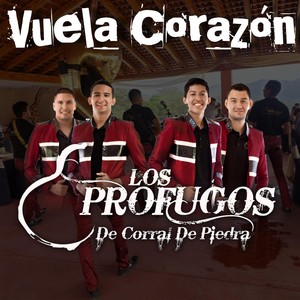 Vuela Corazón