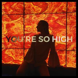 You're so high (feat. Zinfandel)