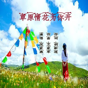 草原情花为你开（吉特巴舞曲版）