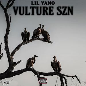 Vulture Szn (Explicit)