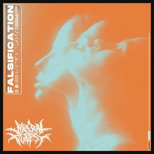 Falsification (Explicit)