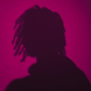 † ViBiN † (Explicit)