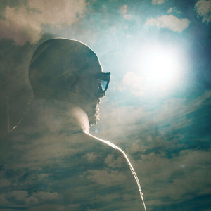 Неподаренные цветы