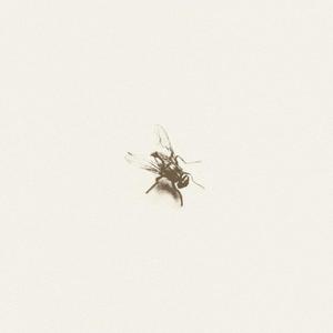 MUITO CHATO (Explicit)