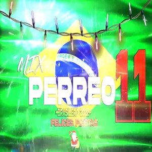 MIX PERREO BRASILEÑO VOL 11