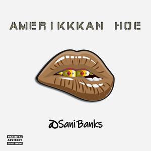 Amerikkkan Hoe (Explicit)