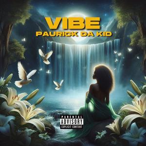 Vibe
