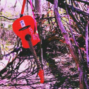 Plastic Skeleton: A story based on the book