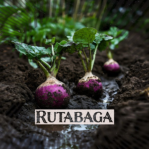 Rutabaga (Explicit)