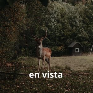 En Vista
