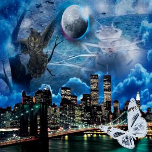 NIGHT OWL (feat. Seattle temporarymixholder|Explicit)