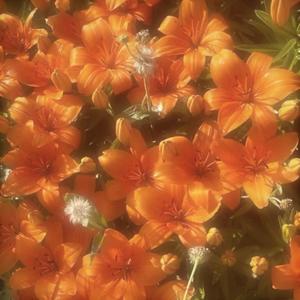 **** Came Outta Nowhere! (feat. JZA) (Explicit)