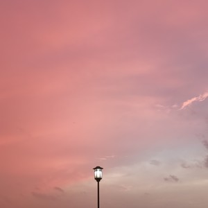 苏公堤 (翻自 杨一歌)