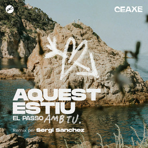 AQUEST ESTIU EL PASSO AMB TU (Remix)