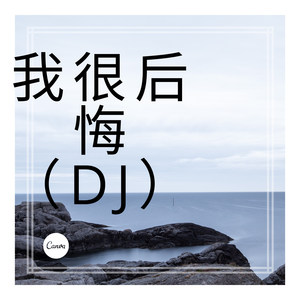 我们走皮皮虾 (DJ版)