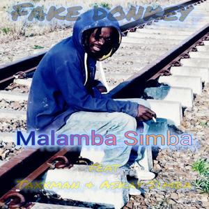Fake Donkeys (feat. Taxxman & Askay Simba) (Explicit)