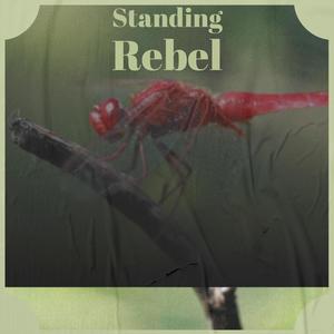Standing Rebel