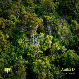 Owls (Haszari woodland dub remix)