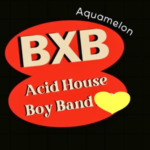 Acid House Boy Band - Why Not