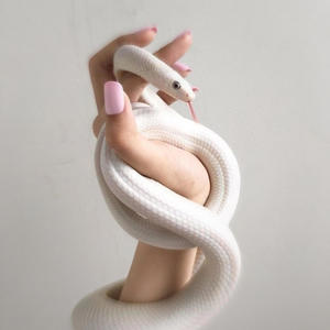 Veneno (feat. Danyael) (Explicit)