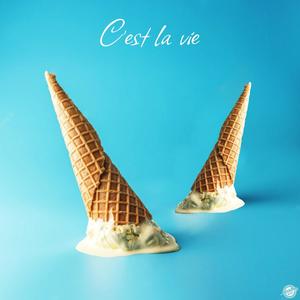 C'est la vie (Explicit)