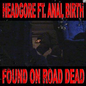 Found On Road Dead (feat. Anal Birth)