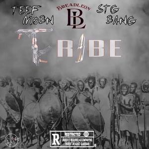 TRIBE (feat. Breadleon & STG Bang) [Explicit]