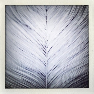 Suicide Saint Honore (Original Mix)