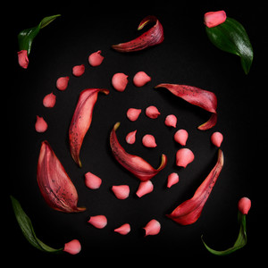 Ute blåser sommarvind