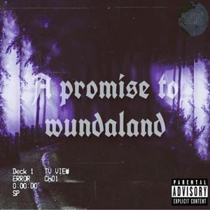 A Promise To Wundaland (Explicit)