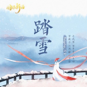 踏雪 (DJ范小松版)封面