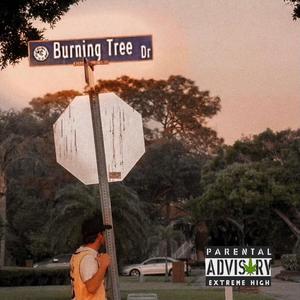 Burning Tree Dr (Explicit)