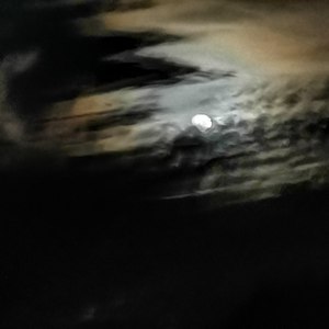 无光