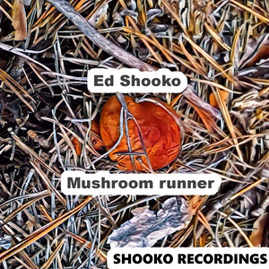 Mushroom Runner