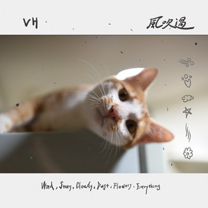 VH (Vast & Hazy) - 风吹过（Wind, Stars, Clouds, Dust, Flowers, Everything）