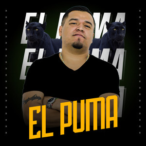 El Puma